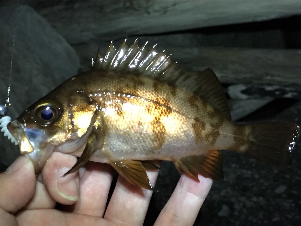f:id:esojima3:20190405061003j:image f:id:esojima3:20190405061003j:image