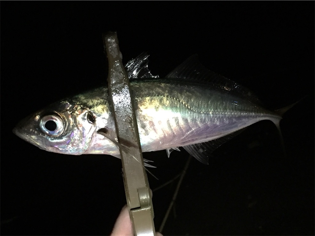 f:id:esojima3:20190405061336j:image f:id:esojima3:20190405061336j:image