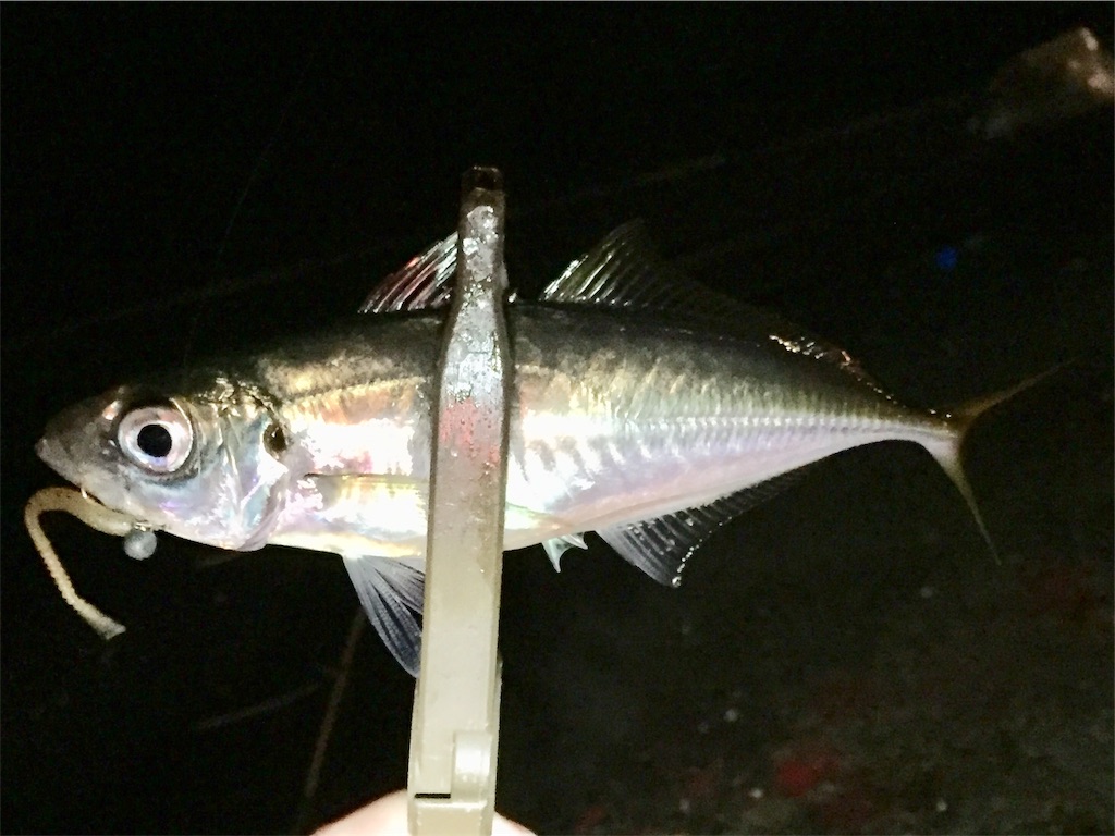 f:id:esojima3:20190405061341j:image f:id:esojima3:20190405061341j:image