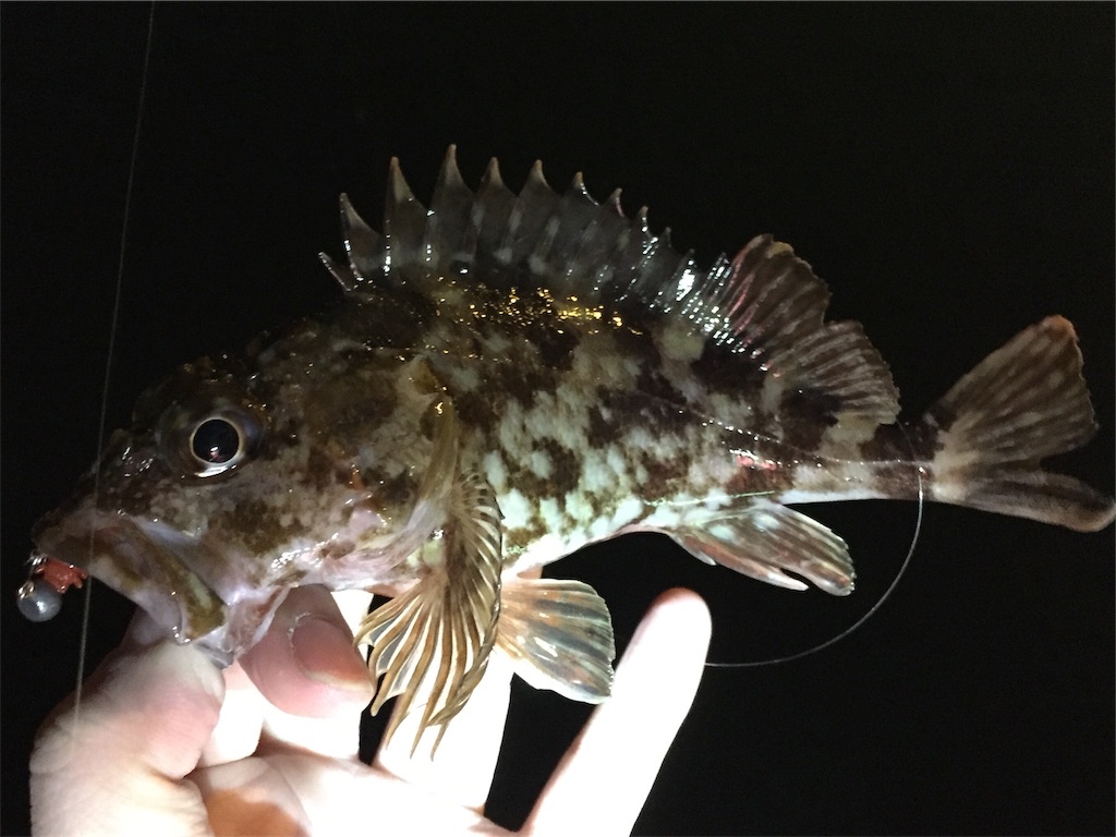 f:id:esojima3:20190405061618j:image f:id:esojima3:20190405061618j:image