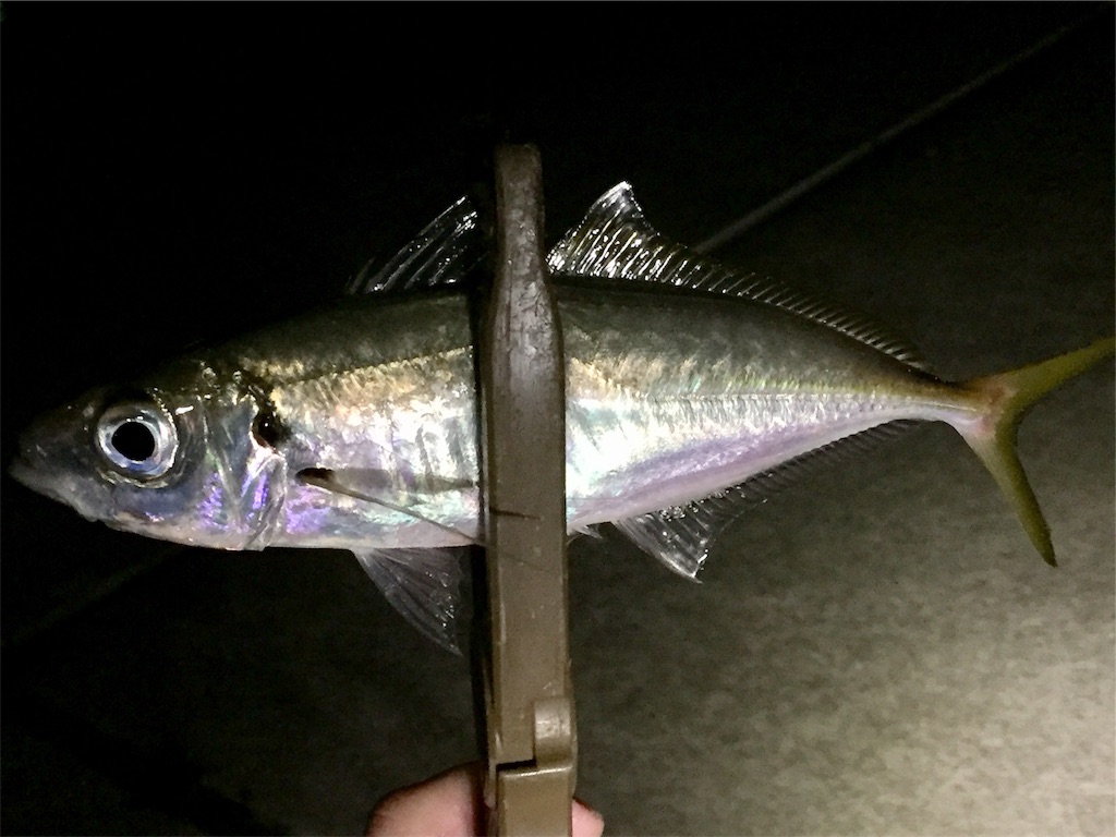f:id:esojima3:20190406114213j:image f:id:esojima3:20190406114213j:image