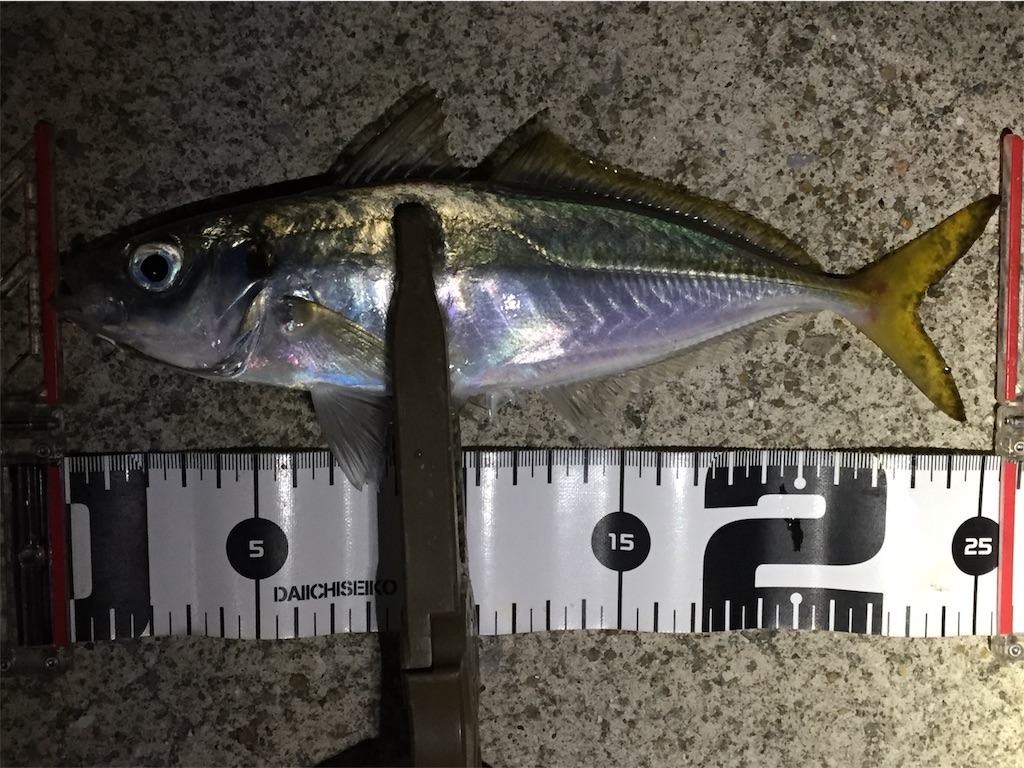 f:id:esojima3:20190406114745j:image f:id:esojima3:20190406114745j:image