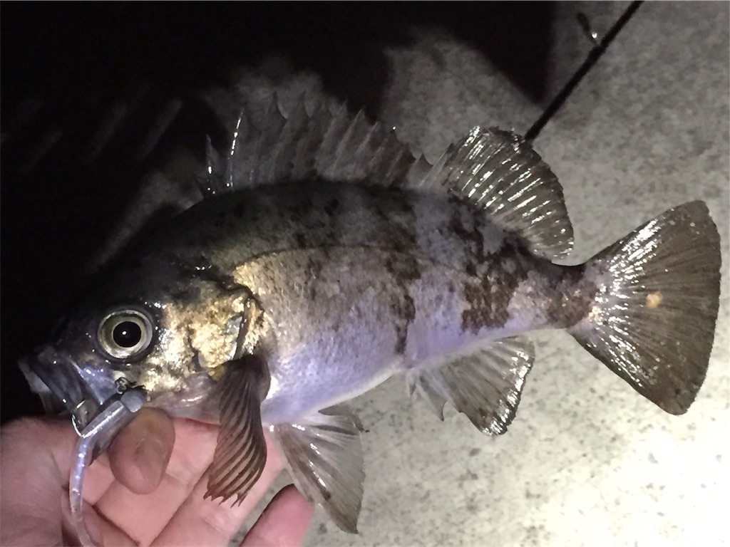 f:id:esojima3:20190406115412j:image f:id:esojima3:20190406115412j:image