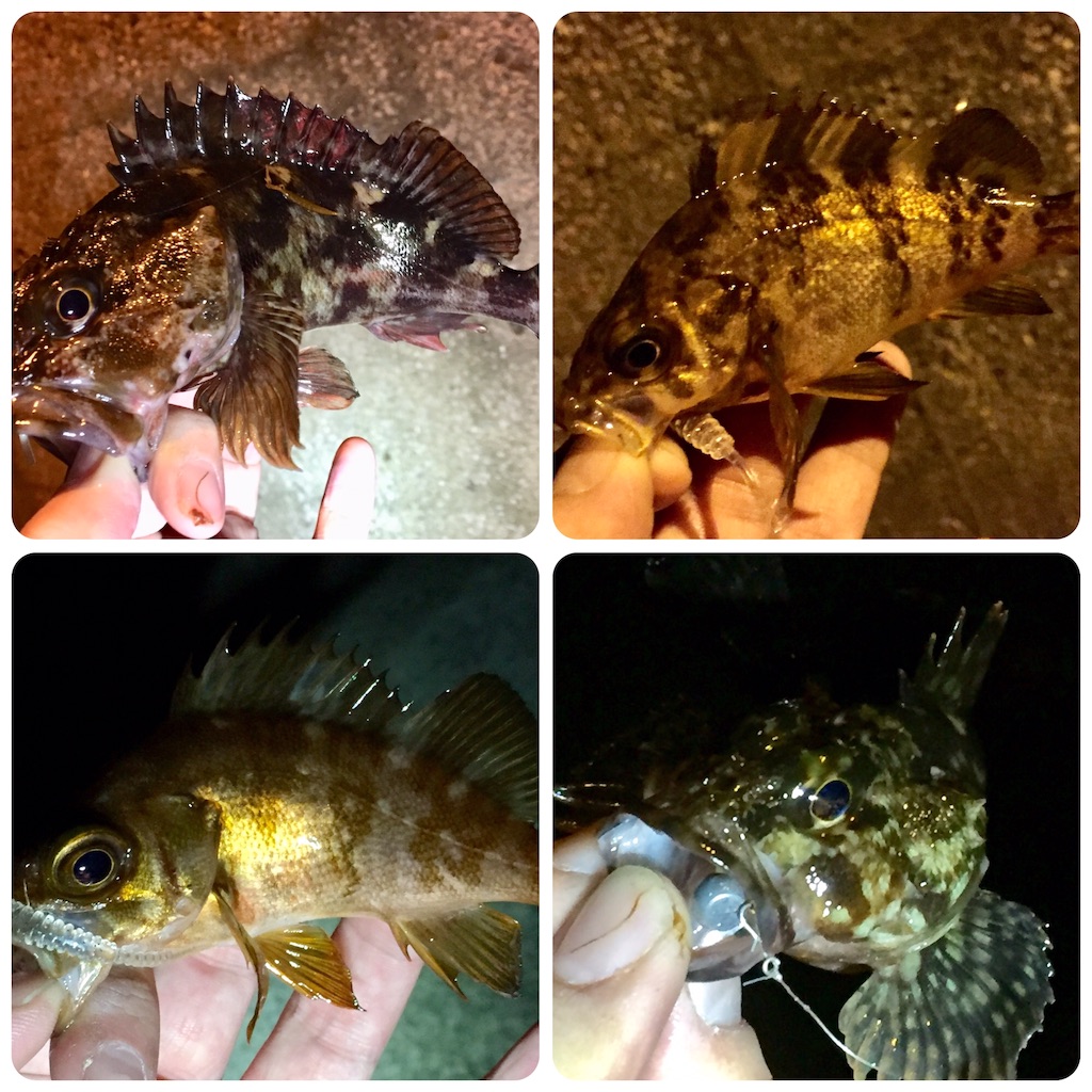 f:id:esojima3:20190407085455j:image
