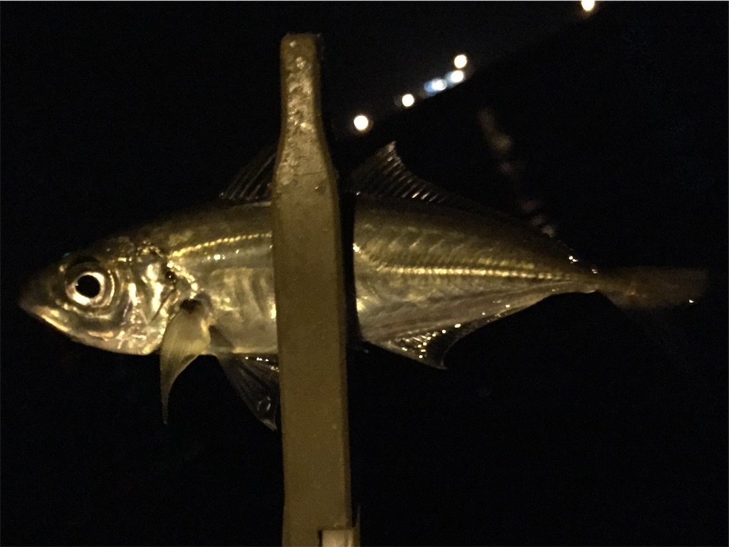 f:id:esojima3:20190408064659j:image