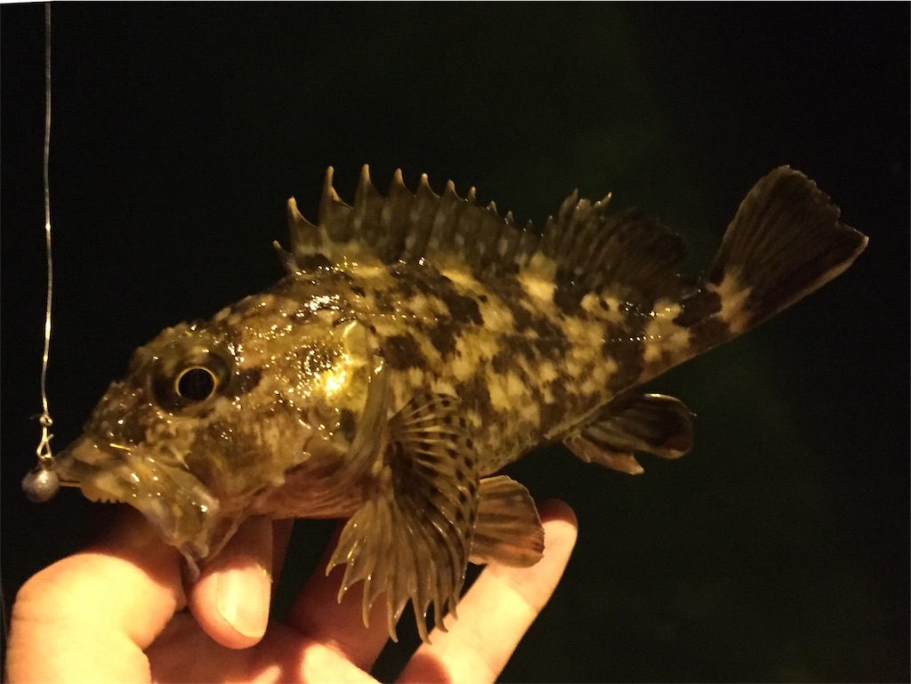 f:id:esojima3:20190408065047j:image