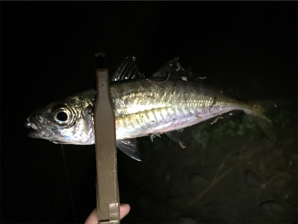 f:id:esojima3:20190409234751j:image