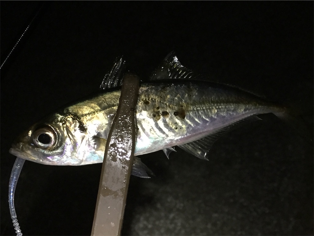 f:id:esojima3:20190409234839j:image