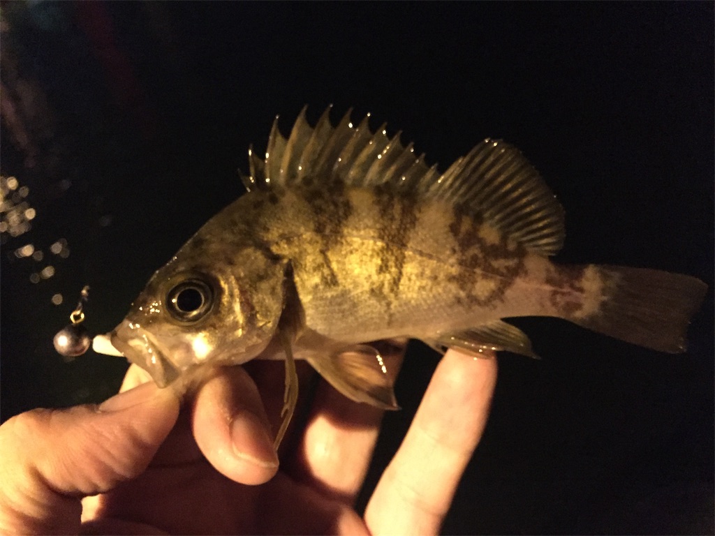 f:id:esojima3:20190409234911j:image