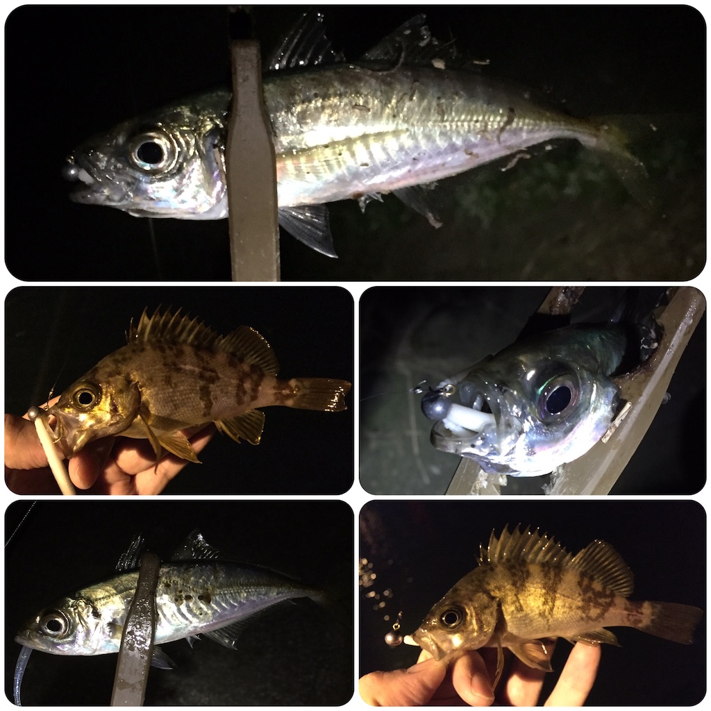 f:id:esojima3:20190409235311j:image