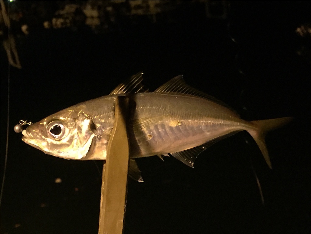f:id:esojima3:20190412001931j:image f:id:esojima3:20190412001931j:image