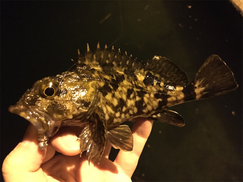 f:id:esojima3:20190412062916j:image f:id:esojima3:20190412062916j:image