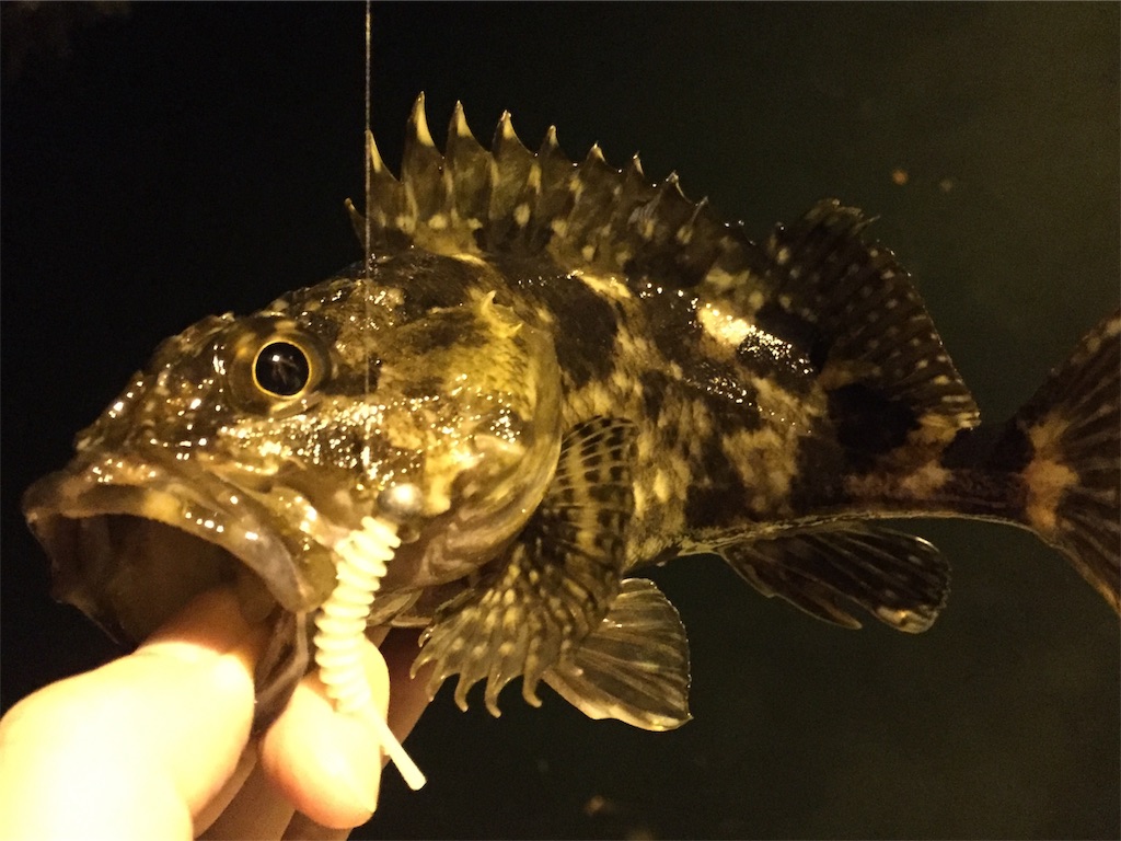 f:id:esojima3:20190412062934j:image f:id:esojima3:20190412062934j:image