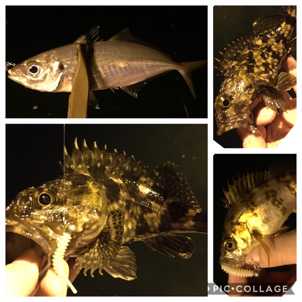 f:id:esojima3:20190412063022j:image f:id:esojima3:20190412063022j:image
