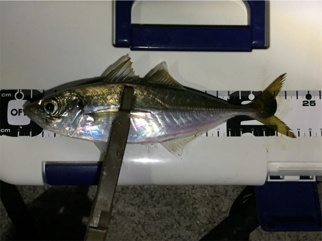 f:id:esojima3:20190413002215j:image