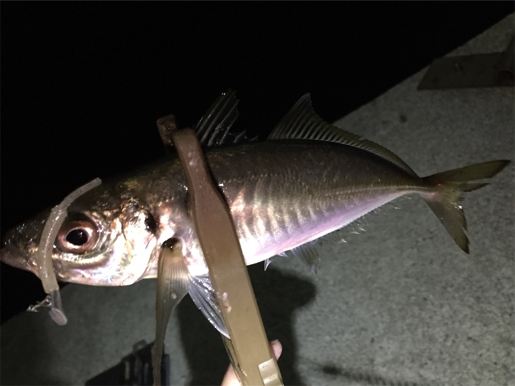 f:id:esojima3:20190414134619j:image f:id:esojima3:20190414134619j:image