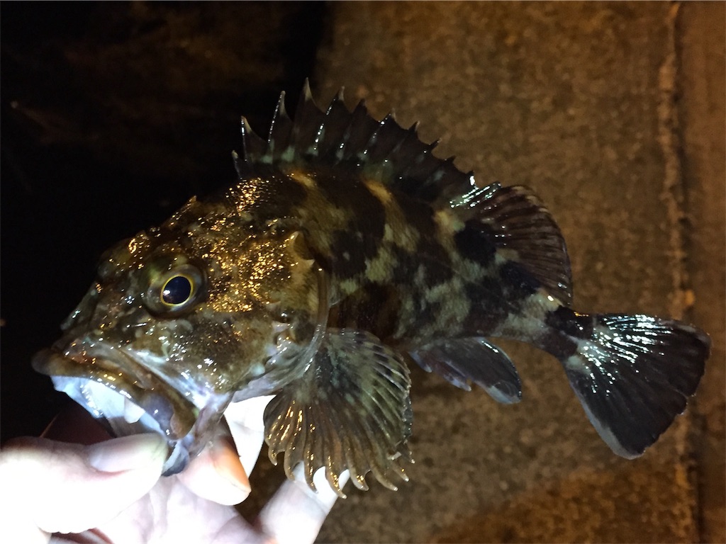 f:id:esojima3:20190414135050j:image f:id:esojima3:20190414135050j:image