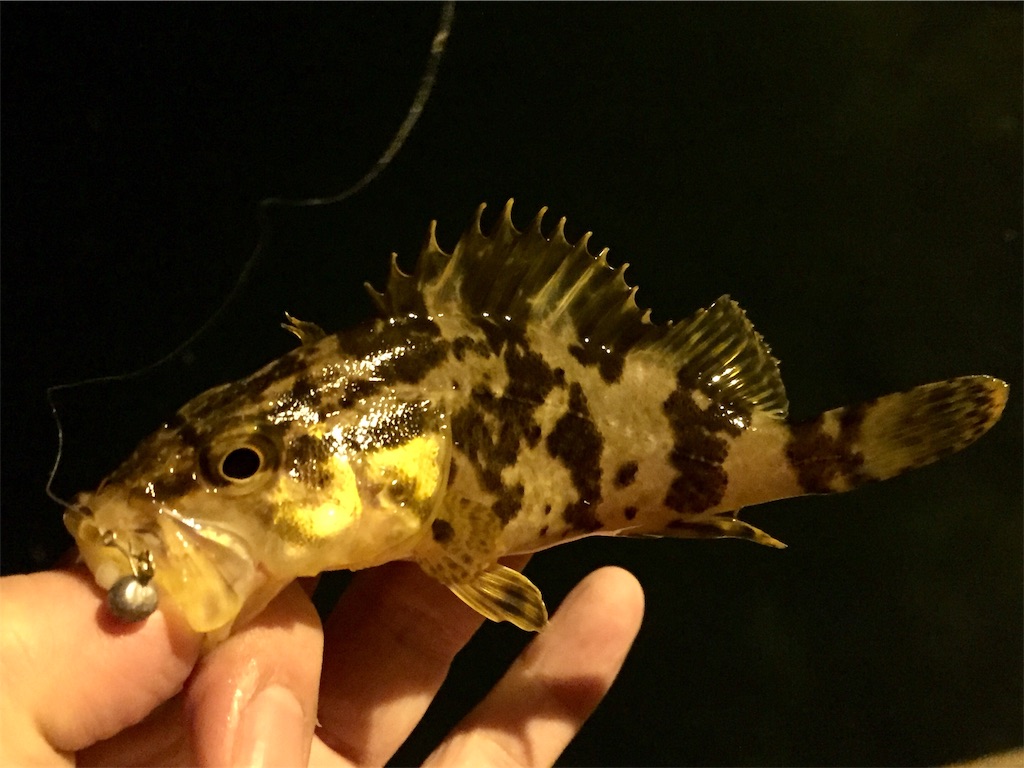 f:id:esojima3:20190414135130j:image f:id:esojima3:20190414135130j:image