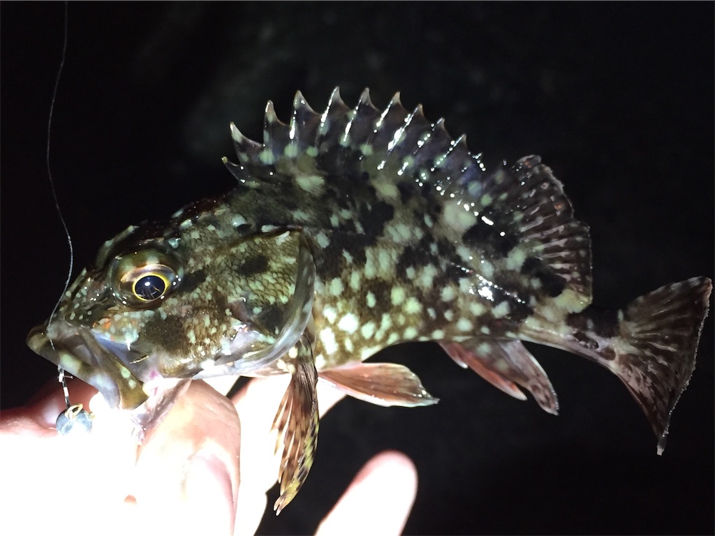 f:id:esojima3:20190414135135j:image f:id:esojima3:20190414135135j:image