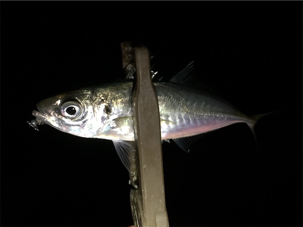 f:id:esojima3:20190416003300j:image