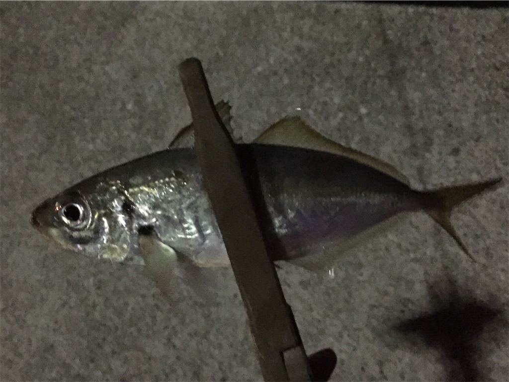 f:id:esojima3:20190416003331j:image