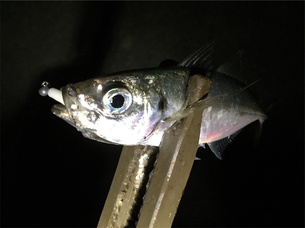 f:id:esojima3:20190416003915j:image