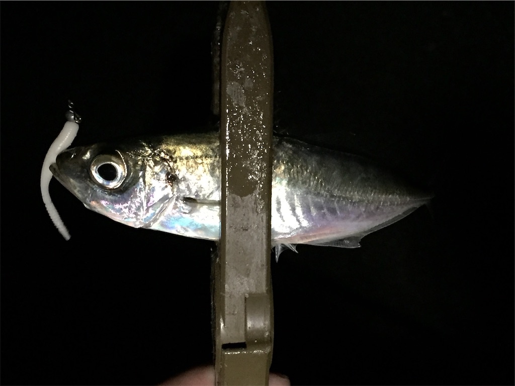 f:id:esojima3:20190416003919j:image