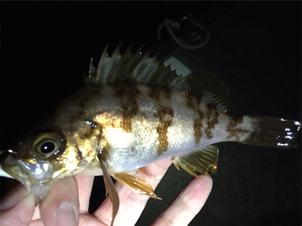 f:id:esojima3:20190416232456j:image