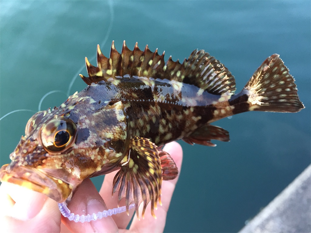 f:id:esojima3:20190419192420j:image f:id:esojima3:20190419192420j:image