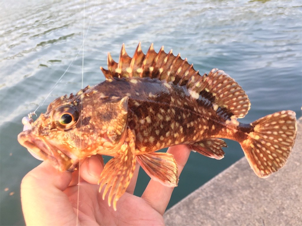 f:id:esojima3:20190419192423j:image f:id:esojima3:20190419192423j:image