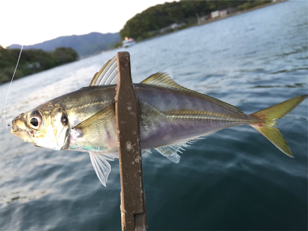 f:id:esojima3:20190419193213j:image f:id:esojima3:20190419193213j:image