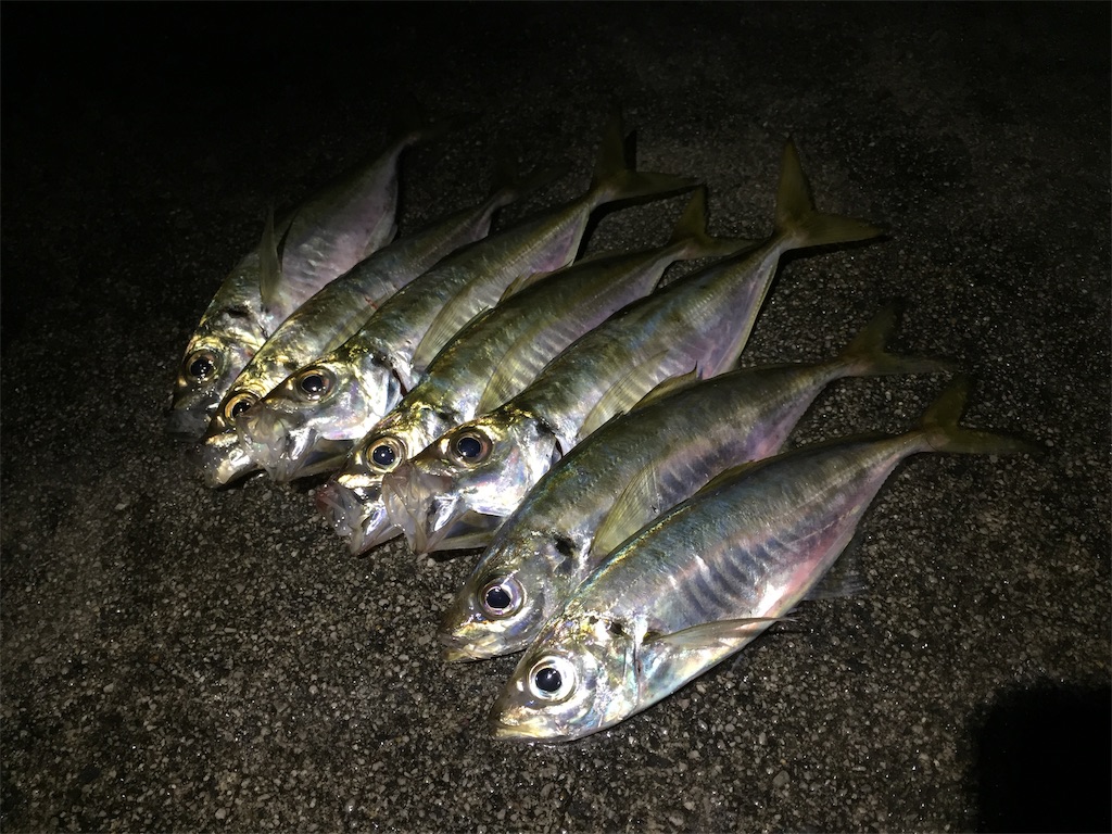 f:id:esojima3:20190419201542j:image f:id:esojima3:20190419201542j:image