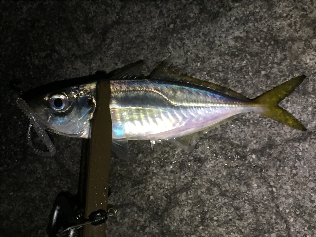 f:id:esojima3:20190419201546j:image f:id:esojima3:20190419201546j:image