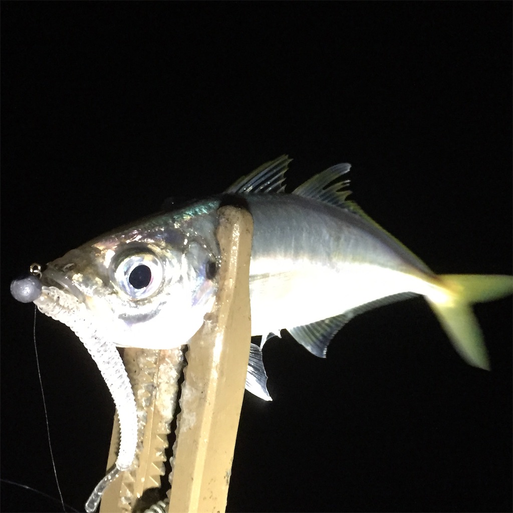 f:id:esojima3:20190419201549j:image f:id:esojima3:20190419201549j:image