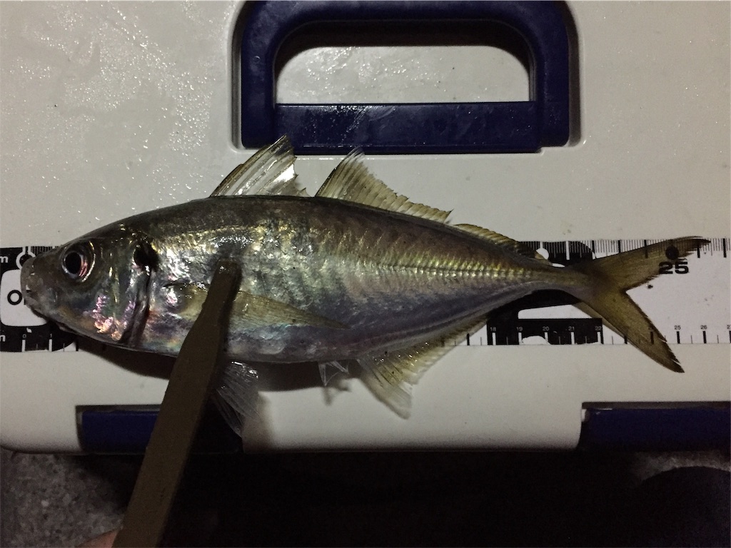 f:id:esojima3:20190420135403j:image f:id:esojima3:20190420135403j:image