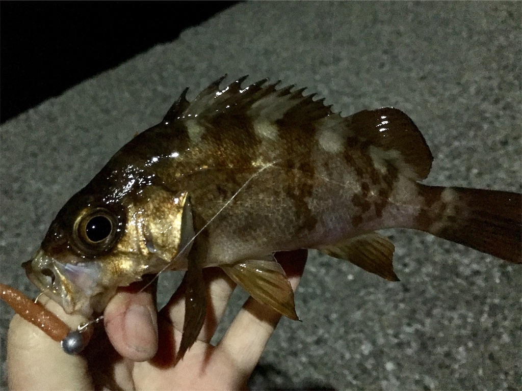 f:id:esojima3:20190420150616j:image f:id:esojima3:20190420150616j:image