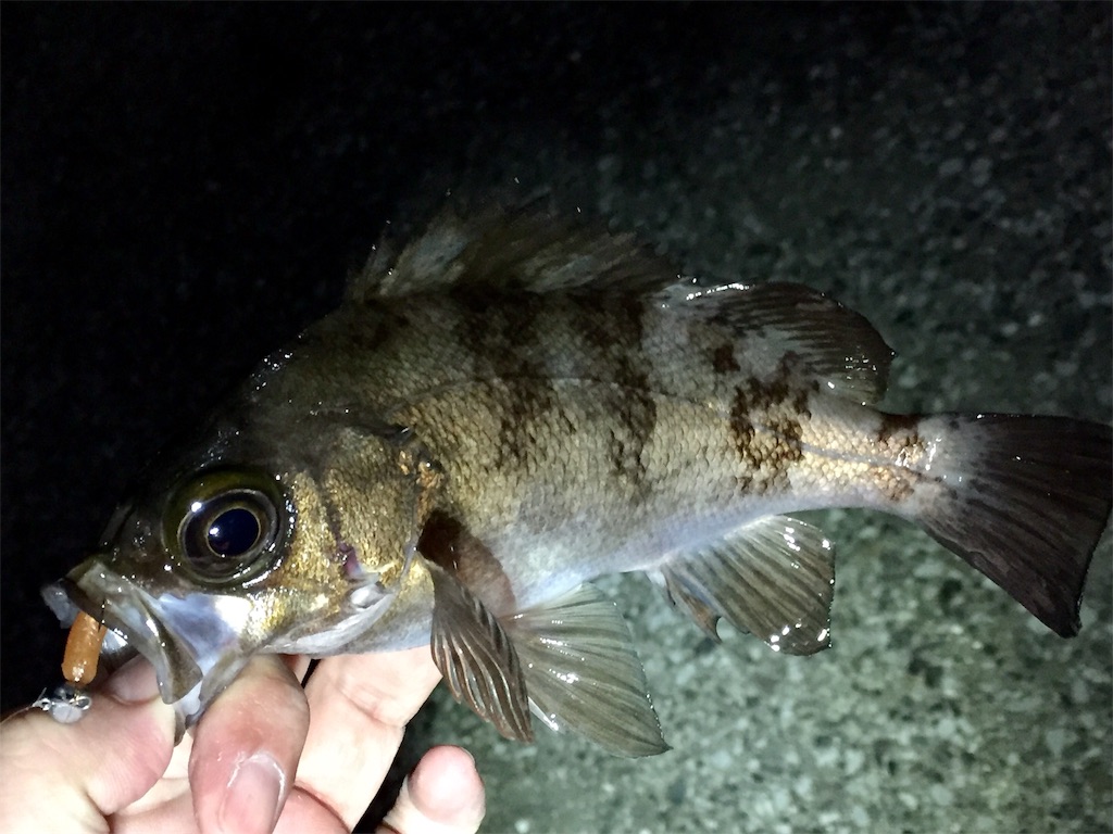f:id:esojima3:20190420150623j:image f:id:esojima3:20190420150623j:image