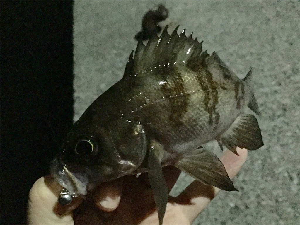 f:id:esojima3:20190420150626j:image f:id:esojima3:20190420150626j:image