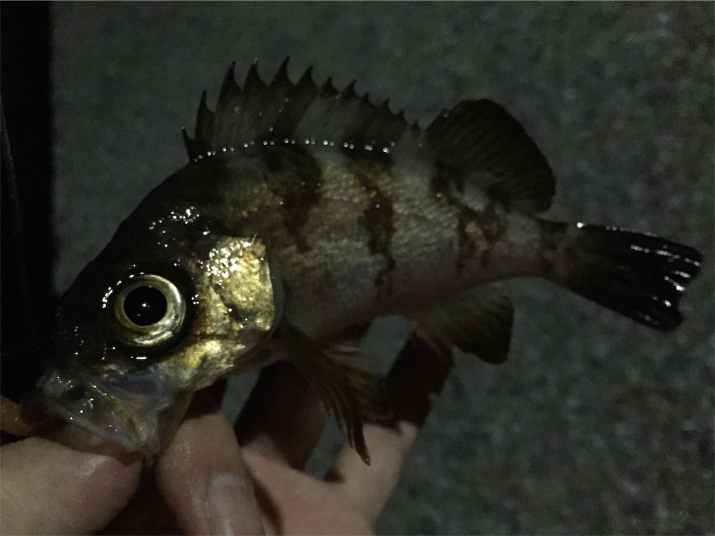 f:id:esojima3:20190420150633j:image f:id:esojima3:20190420150633j:image