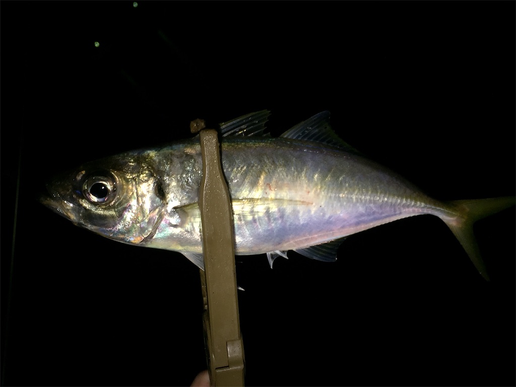 f:id:esojima3:20190420194010j:image