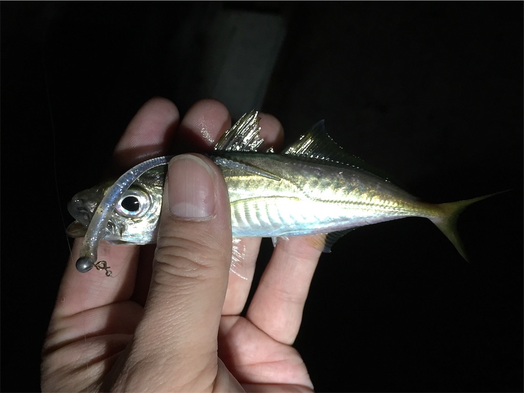 f:id:esojima3:20190421075701j:image