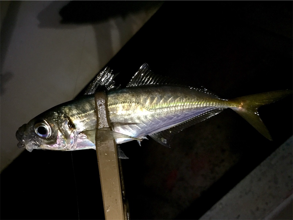 f:id:esojima3:20190421075903j:image