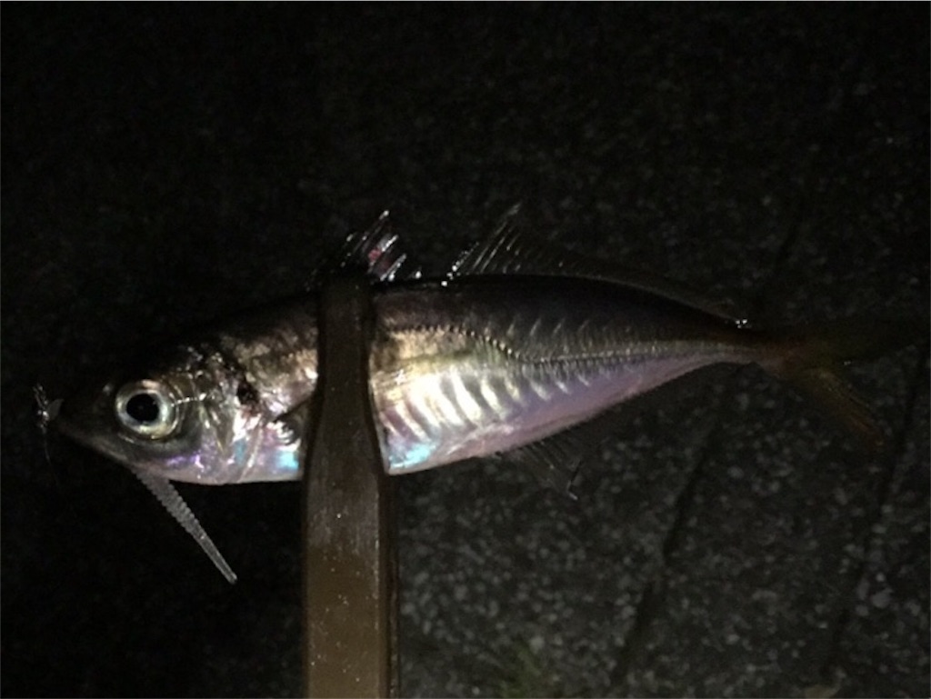 f:id:esojima3:20190421081416j:image