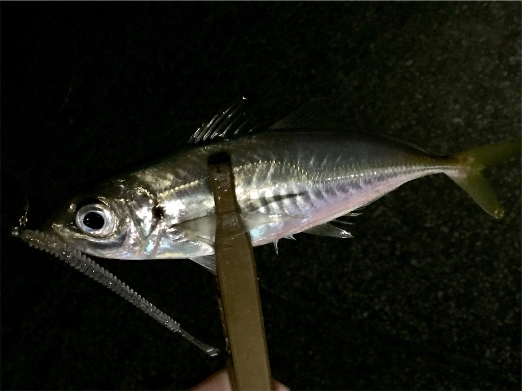 f:id:esojima3:20190421081607j:image
