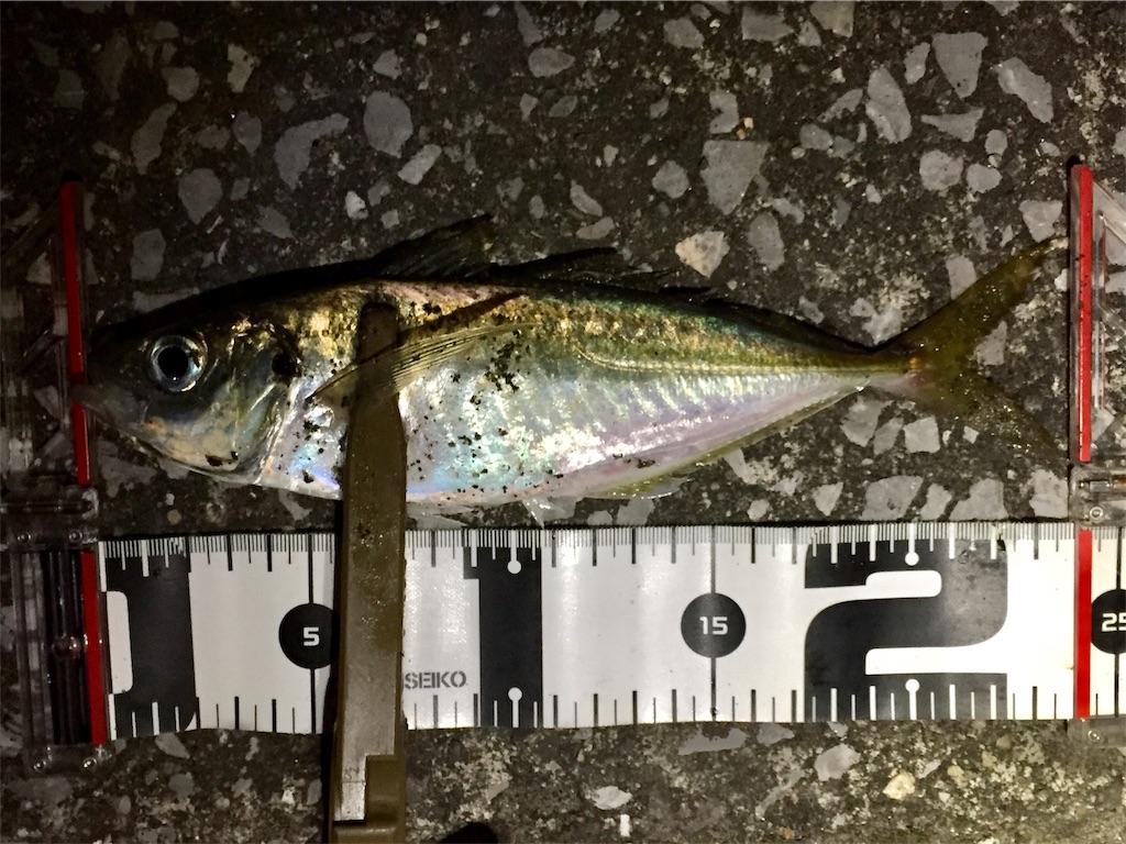 f:id:esojima3:20190421082115j:image