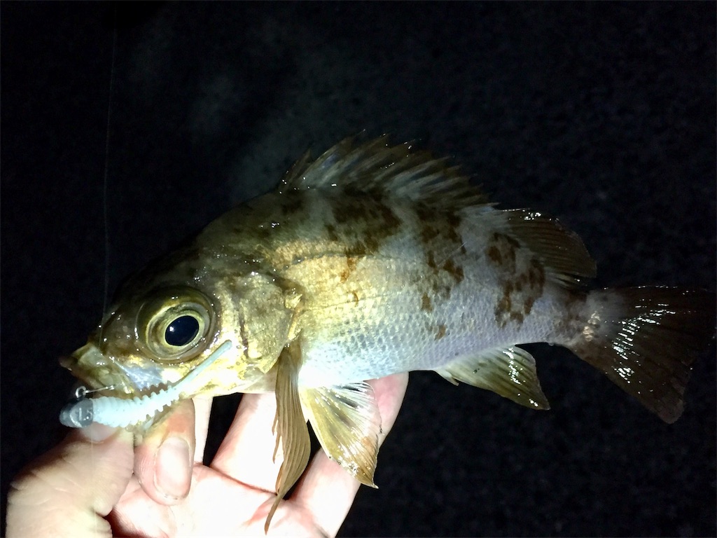 f:id:esojima3:20190421095720j:image