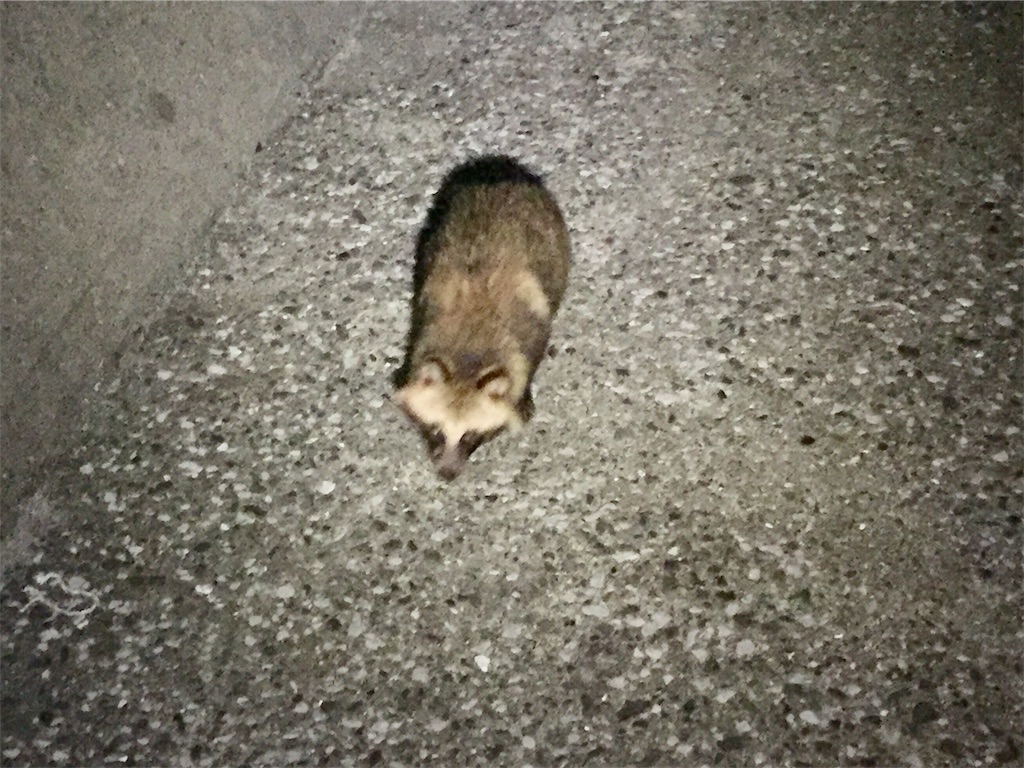 f:id:esojima3:20190421095727j:image