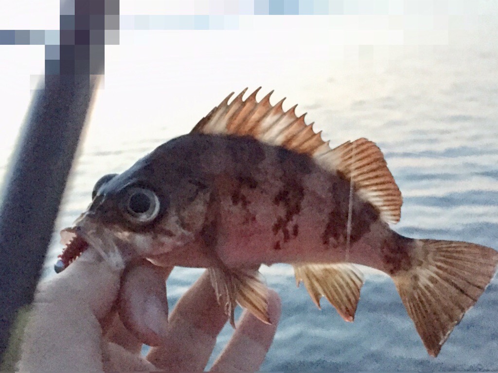 f:id:esojima3:20190421100624j:image