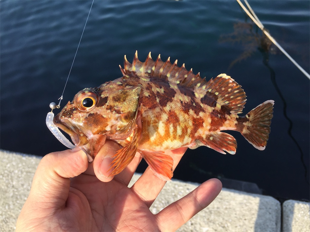 f:id:esojima3:20190421100630j:image