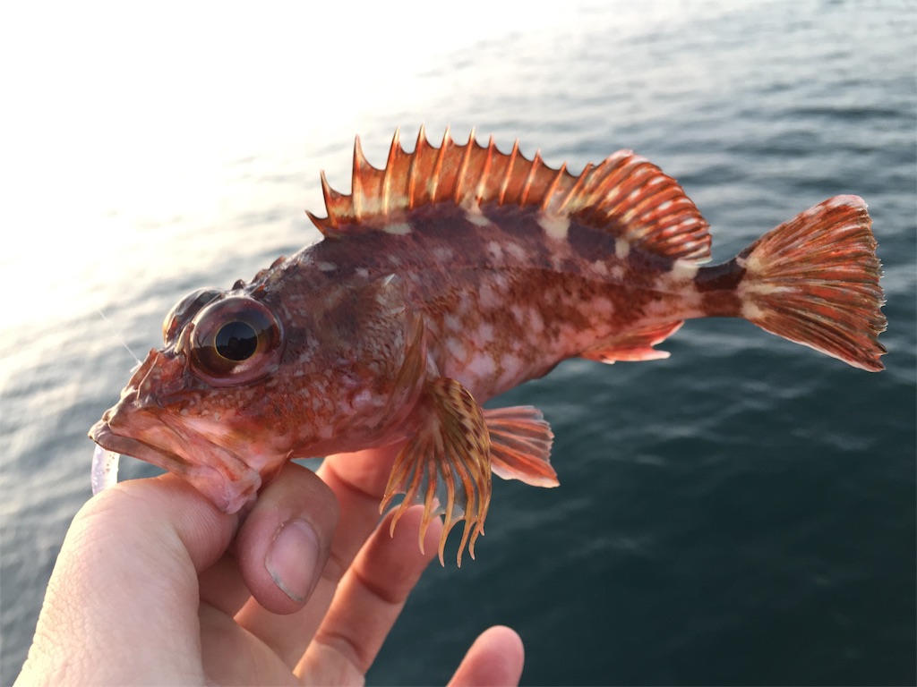 f:id:esojima3:20190421100634j:image